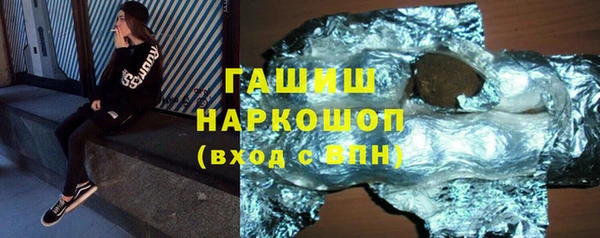 spice Богородск